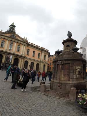 afbeelding n.2 van Stockholm: Dagvullende tour met gids en lunch activiteit in Stockholm, geüpload door aanbieder