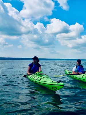 Image N°2 de Québec : Excursion en kayak de mer à l'île d'Orléans activité à Province de Québec, publiée par le prestataire