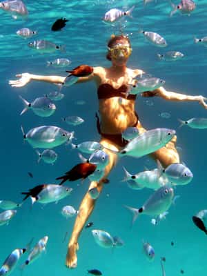 Immagine nº 2 di Sardegna: tour mattutino in kayak + snorkeling e aperitivo locale attività a Sardegna, caricata dal fornitore