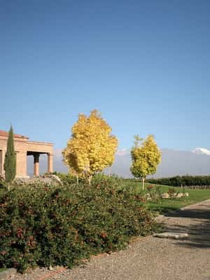 imagem n.2 de Valle de Uco: Excursão particular de 1 dia ao vinho com almoço de 3 pratos atividade em Província de Mendoza, carregada pelo fornecedor