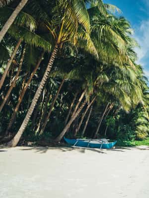 imatge núm.2 de l'activitat de Dumaguete: visita privada a l'illa de Siquijor i Cambugahay Falls a Dumaguete, penjada pel proveïdor