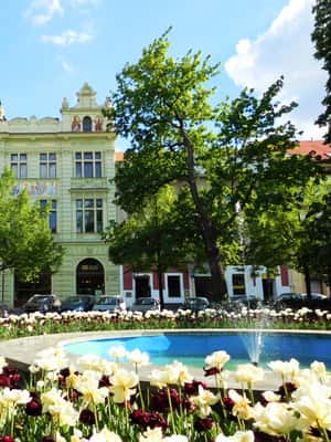 Immagine nº 2 di Pilsen: Tour gastronomico del centro storico attività a Plzeň, caricata dal fornitore