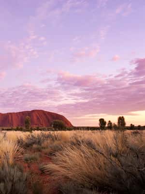 Image N°2 de Uluru : visite guidée à pied au lever du soleil avec petit déjeuner léger activité à Territoire du Nord, Australie, publiée par le prestataire