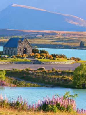 image n.2 of Mount Cook & Lake Tekapo Day Tour from Christchurch activity in South Island, uploaded by supplier