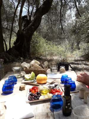 image n.2 of Rethymno: Olive Oil Tasting with Cretan Food Pairing activity in Crete, uploaded by supplier
