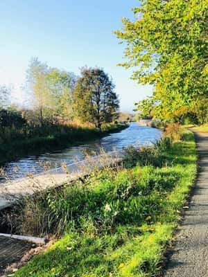 Immagine nº 2 di Edimburgo: tour in bicicletta di 20 miglia (per lo più senza traffico) attività a Edimburgo, caricata dal fornitore