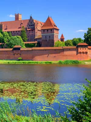 2. attēls no Ekskursija pa Malborkas pili: 6 stundu privāta ekskursija aktivitātes Malborka, augšupielādējis partneris