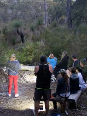 image n.2 of Busselton: Nocturnal Animal Tour activity in Busselton, uploaded by supplier