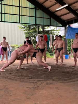 image n.2 of Nagoya: Visit Sumo Morning Practice with English Guide activity in Nagoya, uploaded by supplier