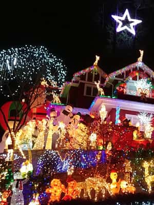 Image N°2 de Vancouver : Visite de Noël avec entrée au festival des lumières activité à Vancouver, publiée par le prestataire