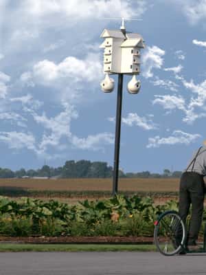 image n.2 of مقاطعة لانكستر: مزارع الأميش، جولة في المتحف، زيارة المزرعة activity in لانكستر، بنسلفانيا, uploaded by supplier