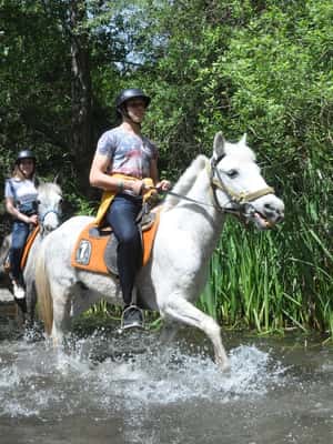 image n.2 of From Fethiye: Horse Riding Adventure activity in Fethiye, uploaded by supplier
