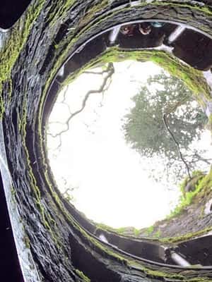 billede nr.2 af aktiviteten Heldagstur til Sintra med Pena-paladset og Quinta da Regaleira i Sintra, uploadet af udbyder