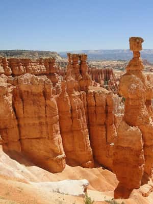 image n.2 of Bryce: Guided Sightseeing Tour of Bryce Canyon National Park activity in Utah, uploaded by supplier
