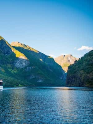 Image N°2 de Bergen : visite privée, croisière dans le Nærøyfjord et chemin de fer de Flåm activité à Flåm, publiée par le prestataire