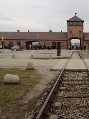 Immagine nº 2 di Varsavia: Tour di Cracovia e Auschwitz in treno con servizio di prelievo attività a Oswiecim, caricata dal fornitore