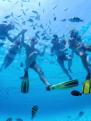Image N°2 de Nassau : Tour en jet ski, parachute ascensionnel et tour en bateau banane activité à Nassau, Bahamas, publiée par le prestataire