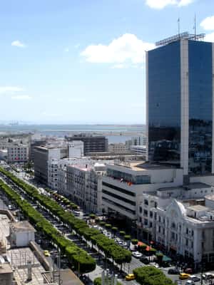 Image N°2 de De Tunis : Musée du Bardo, mosquée El-Zitouna et Médina activité à Tunis, publiée par le prestataire