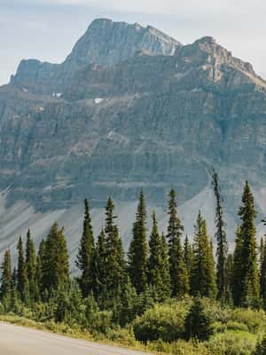 imagen n.º 2 de Desde Calgary: Excursión a Banff con góndola y crucero por el lago actividad en Banff, subida por el proveedor