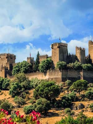 imagen n.º 2 de Córdoba: entrada al castillo de Almódovar actividad en Córdoba, subida por el proveedor