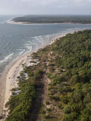 gambar no.2 daripada Belém: Lawatan Sehari Pulau Marajó dengan Lawatan Ladang Kerbau aktiviti di Anajas, dimuat naik oleh pembekal 