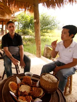 image n.2 of Luang Prabang: Rice Farm and Kuang Si Waterfall Tour activity in Luang Prabang, uploaded by supplier