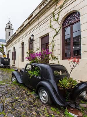 image n.2 of Complete Tour of Uruguay activity in Villa Serrana, uploaded by supplier