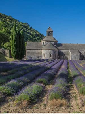 imagem n.2 de De Avignon: passeio de meio dia em Baux de Provence e Luberon atividade em Saint-Rémy-de-Provence, carregada pelo fornecedor