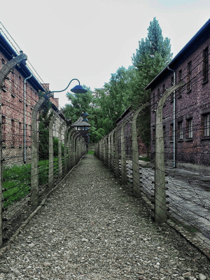 Image N°2 de Cracovie : visite guidée ou visite autonome d'Auschwitz-Birkenau activité à Oswiecim, publiée par le prestataire