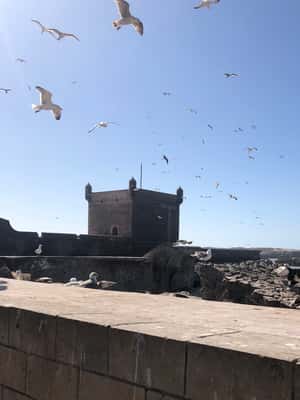 image n.2 of Essaouira: Private City Tour activity in Essaouira, uploaded by supplier