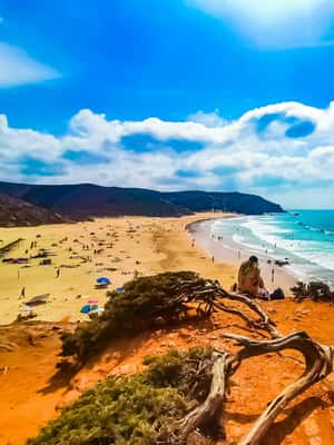 image n.2 of From Lagos: Wild and Wonderful West Coast Full-Day Tour activity in Lagos, Portugal, uploaded by supplier