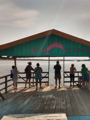 imagen n.º 2 de Safari Amazonas® Manaus: Excursión de un día por el río Amazonas actividad en Manaos, subida por el proveedor