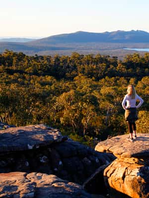 imagem n.2 de Explorador dos Oceanos às Montanhas: Excursão de 3 dias pela Great Ocean Road atividade em Melbourne, carregada pelo fornecedor