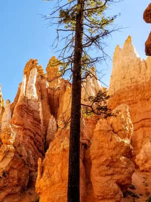 image n.2 of Bryce Canyon National Park Hiking Experience activity in Bryce Canyon City, uploaded by supplier