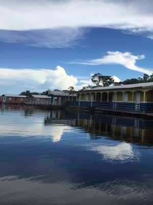 imagen n.º 2 de Amazonas: Paseo en barco con un amazónico local actividad en Manaos, subida por el proveedor