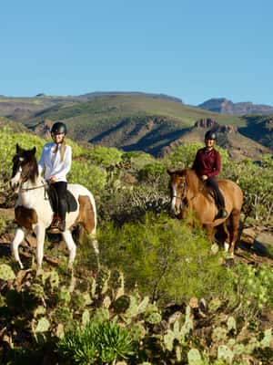 imagen n.º 2 de El Salobre: aventura a caballo con opciones de traslado actividad en Maspalomas, subida por el proveedor