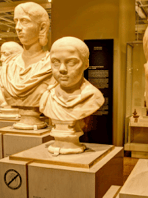 image n.2 of Toronto: Royal Ontario Museum Special Exhibits Voucher activity in Toronto, uploaded by supplier