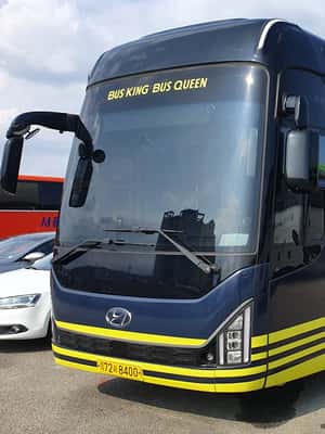 image n.2 of Seoul to/from Nami Island or Alpaca World: Shuttle Service activity in Seoul, uploaded by supplier