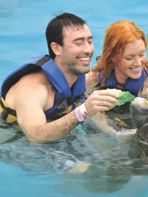 afbeelding n.2 van Puerto Aventuras: zwemmen met dolfijnen, zeeleeuwen, zeekoeien en lunch activiteit in Puerto Aventuras, geüpload door aanbieder