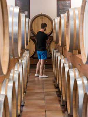 billede nr.2 af aktiviteten Avignon: Heldagstur til Châteauneuf du Pape-vine og Luberon i Lacoste, uploadet af udbyder