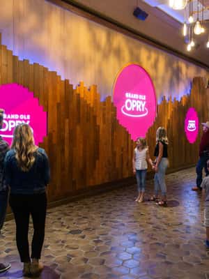 image n.2 of Nashville: Grand Ole Opry Backstage Tour activity in Nashville, uploaded by supplier