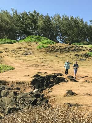 bild nr.2 av Mauritius: Den vilda södern: Vandringstur med guide aktivitet i Mauritius, uppladdad av arrangören