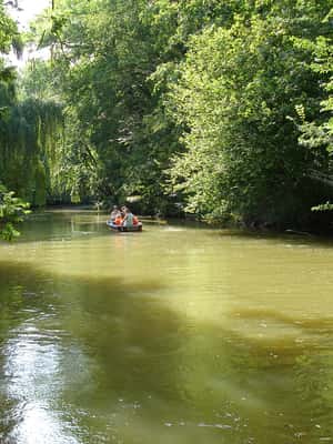 billede nr.2 af aktiviteten Leipzig: Skovtur ved floden på Pleiße i Nordtyskland, uploadet af udbyder