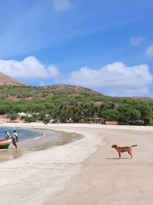 imagem n.2 de Da Praia: Passeio pelos destaques da Ilha de Santiago atividade em Tarrafal, carregada pelo fornecedor