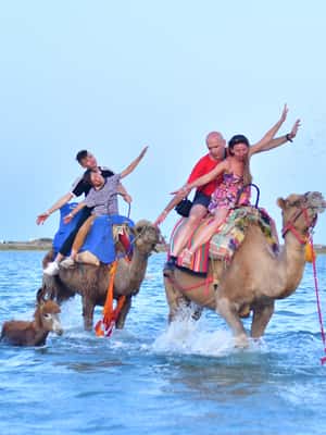 image n.2 of Djerba: Guided Camel Ride with Blue Lagoon Visit activity in Medenine Governorate, uploaded by supplier