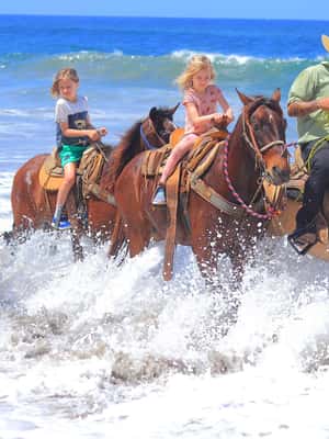 image n.2 of Sayulita: Horseback Riding Tour activity in Sayulita, uploaded by supplier
