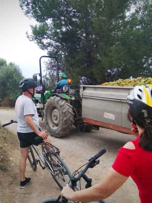 billede nr.2 af aktiviteten Fra Sitges: Cykeltur med vingårdsbesøg og smagning i Vilafranca del Penedès, uploadet af udbyder