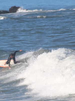 Porto: Small Group Surf Lesson with Transportation