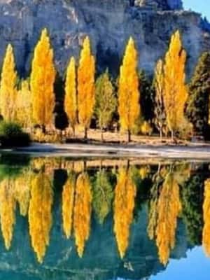 imagem n.2 de Bariloche: 7 Lagos & San Martin de Los Andes Road Trip atividade em Neuquen, carregada pelo fornecedor