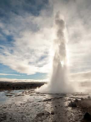 imagen n.º 2 de Reikiavik: Excursión de un día al Círculo Dorado, Fridheimar y Sky Lagoon actividad en Kópavogur, subida por el proveedor